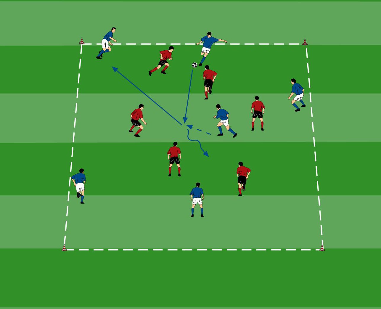 Freilaufe und Decken